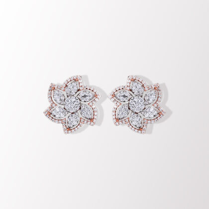 Dia Sparkles Earrings-1